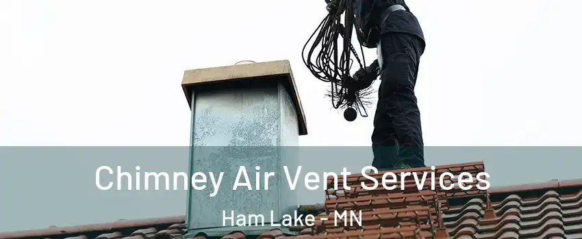  Chimney Air Vent Services Ham Lake - MN