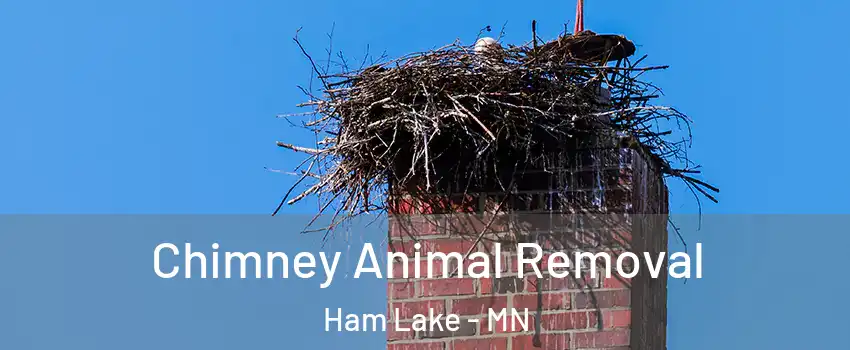  Chimney Animal Removal Ham Lake - MN