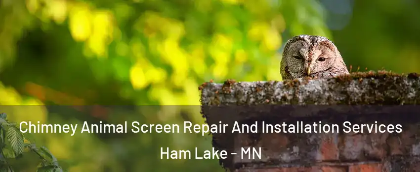  Chimney Animal Screen Repair And Installation Services Ham Lake - MN