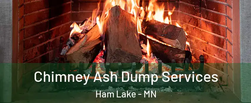  Chimney Ash Dump Services Ham Lake - MN