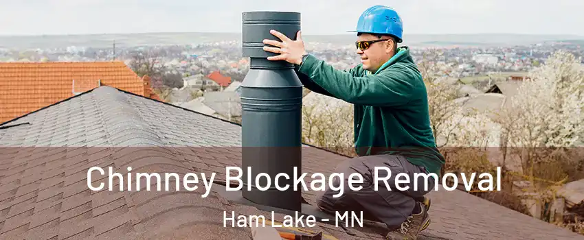  Chimney Blockage Removal Ham Lake - MN