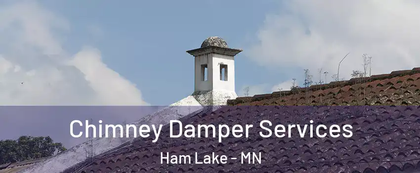  Chimney Damper Services Ham Lake - MN