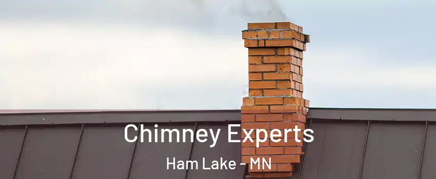  Chimney Experts Ham Lake - MN