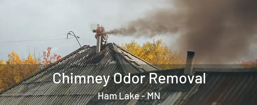  Chimney Odor Removal Ham Lake - MN