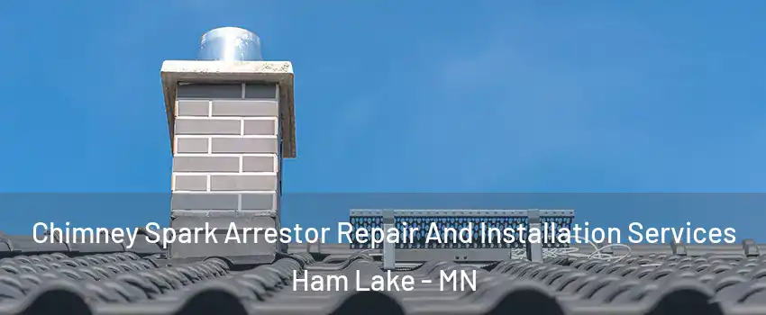  Chimney Spark Arrestor Repair And Installation Services Ham Lake - MN