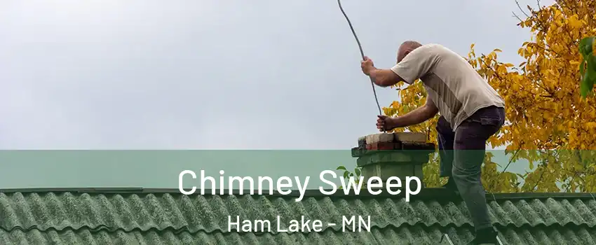 Chimney Sweep Ham Lake - MN