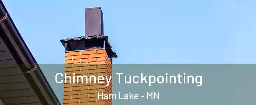  Chimney Tuckpointing Ham Lake - MN