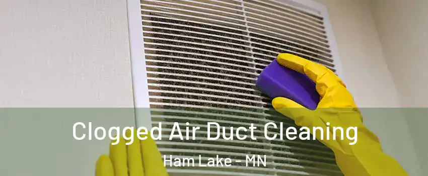  Clogged Air Duct Cleaning Ham Lake - MN
