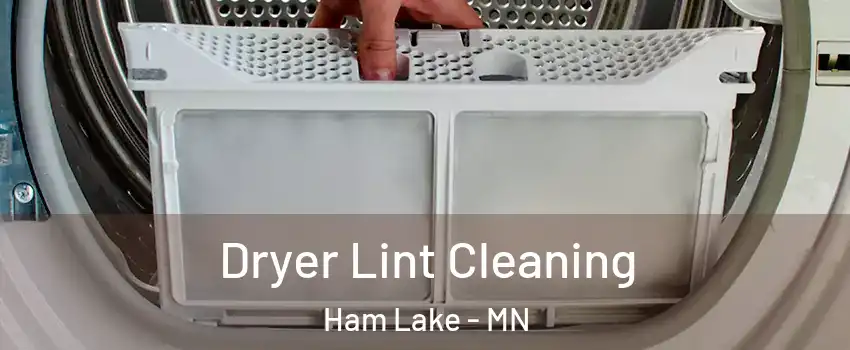  Dryer Lint Cleaning Ham Lake - MN