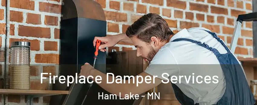  Fireplace Damper Services Ham Lake - MN