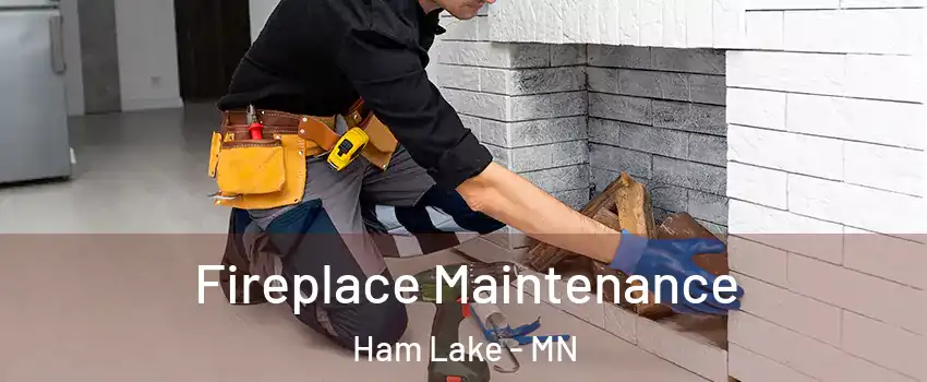  Fireplace Maintenance Ham Lake - MN