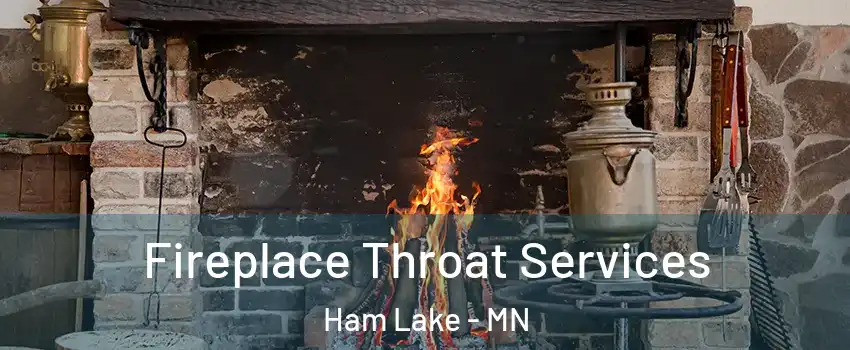  Fireplace Throat Services Ham Lake - MN