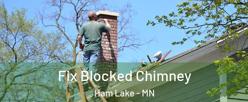  Fix Blocked Chimney Ham Lake - MN