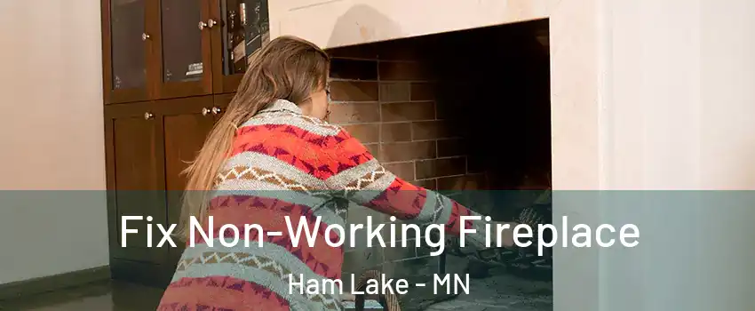  Fix Non-Working Fireplace Ham Lake - MN