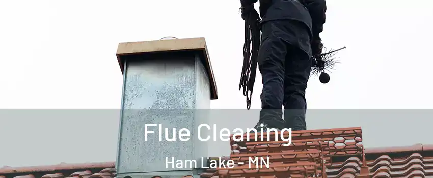  Flue Cleaning Ham Lake - MN