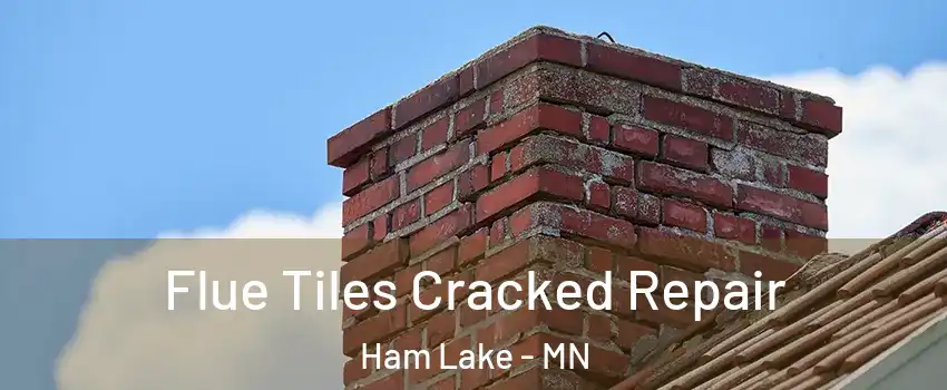  Flue Tiles Cracked Repair Ham Lake - MN