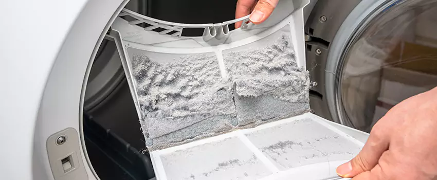 Best Dryer Lint Removal Company in Ham Lake, Minnesota