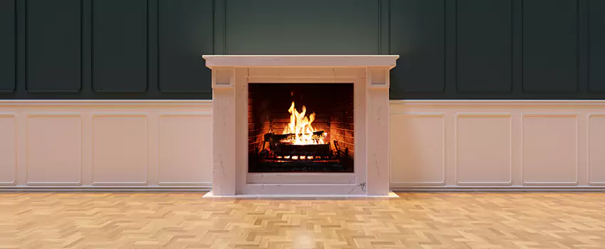 Napoleon Electric Fireplaces Inspection Service in Ham Lake, Minnesota