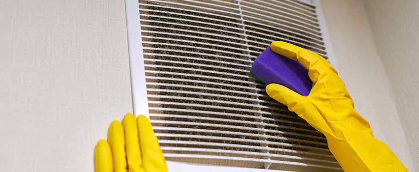 Vent Cleaning Company in Ham Lake, MN