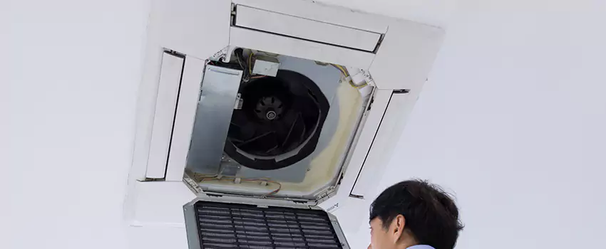 Benefits of Professional Air Duct Cleaning in Ham Lake, Minnesota
