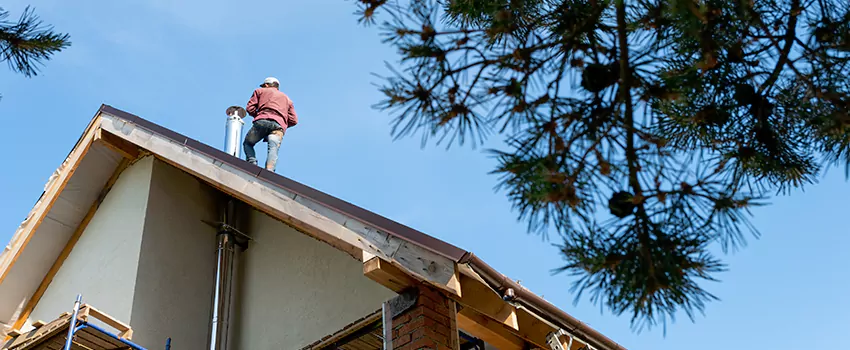 Birds Removal Contractors from Chimney in Ham Lake, MN