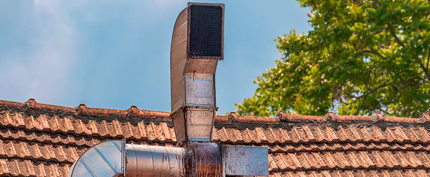 Chimney Blockage Removal in Ham Lake, Minnesota