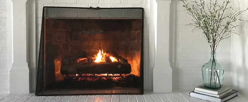 Cost-Effective Fireplace Mantel Inspection And Maintenance in Ham Lake, MN