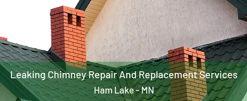  Leaking Chimney Repair And Replacement Services Ham Lake - MN