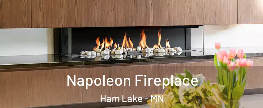  Napoleon Fireplace Ham Lake - MN