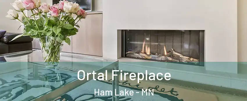  Ortal Fireplace Ham Lake - MN