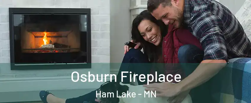  Osburn Fireplace Ham Lake - MN